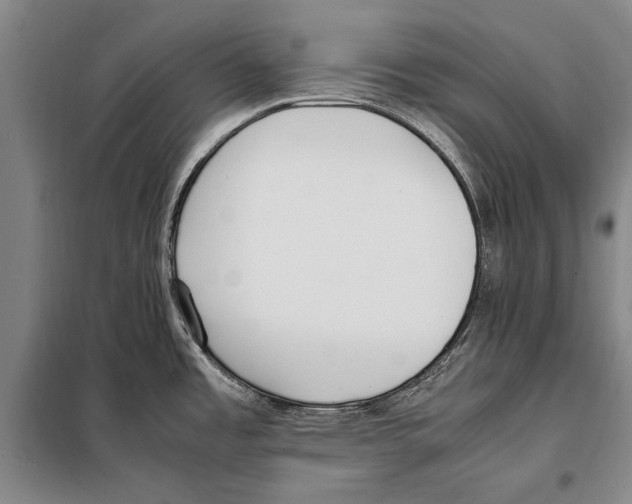 X0000097981485200804211025