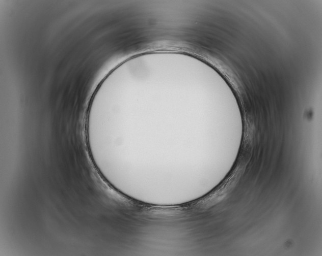 X0000097981486200804211025