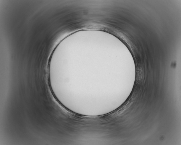 X0000097981487200804211025