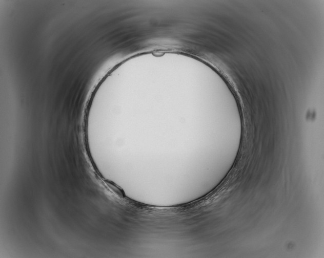 X0000097981488200804211025