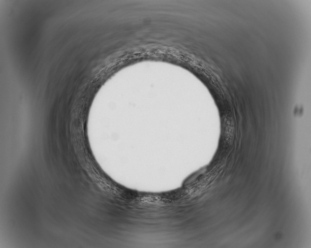 X0000097981489200804211024