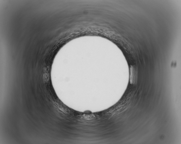 X0000097981491200804211024