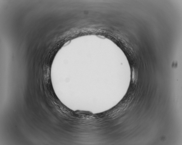 X0000097981492200804211024