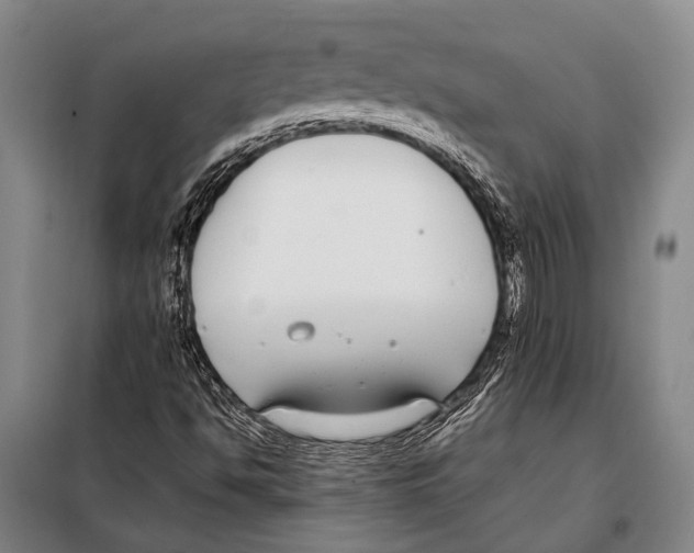 X0000097981494200804211024