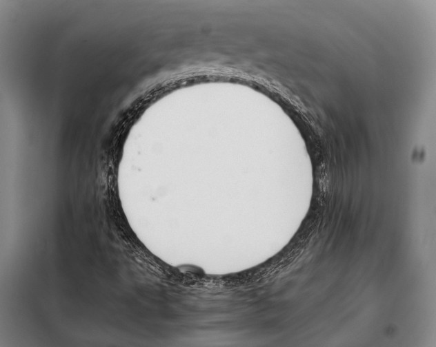 X0000097981495200804211024