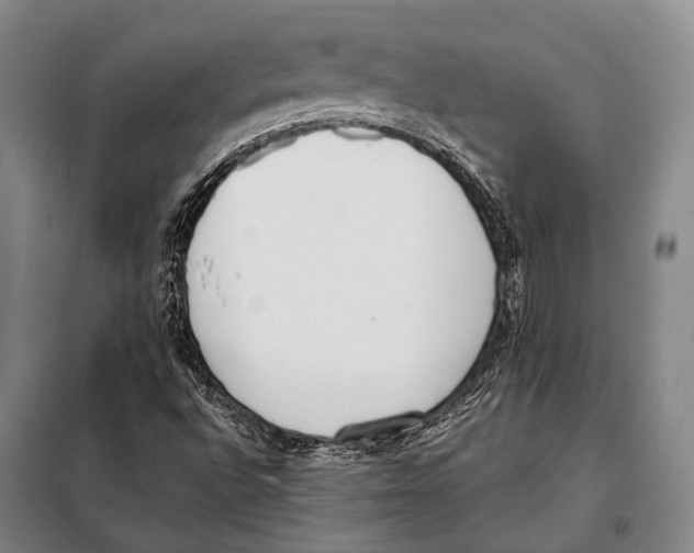 X0000097981496200804211024