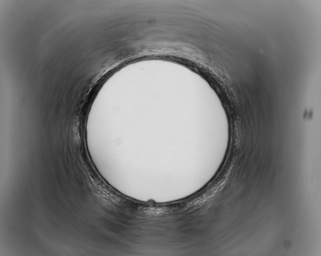 X0000097981497200804211024