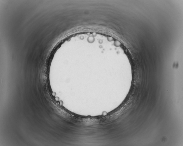 X0000097981498200804211024