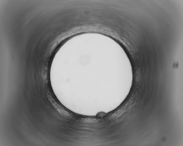 X0000097981499200804211024