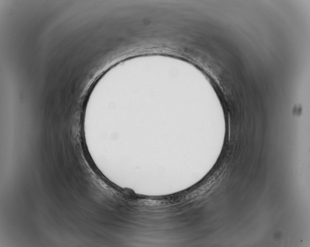 X0000097981500200804211024