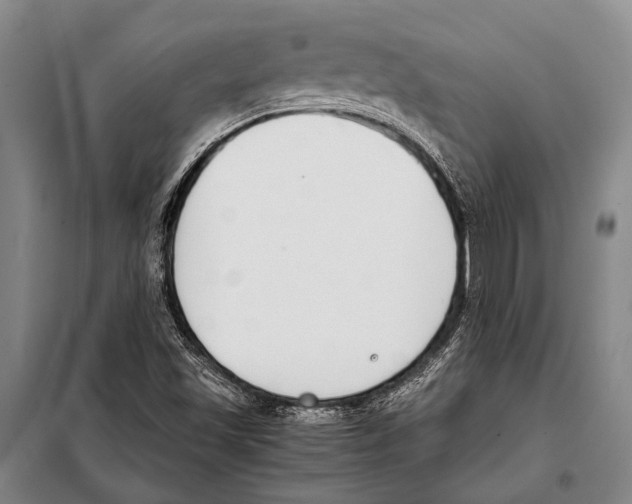 X0000097981501200804211024