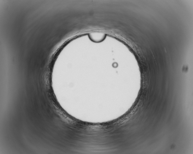 X0000097981502200804211024