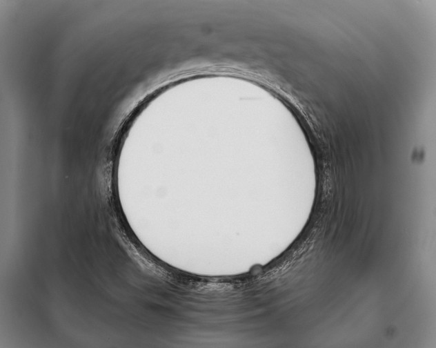 X0000097981503200804211024