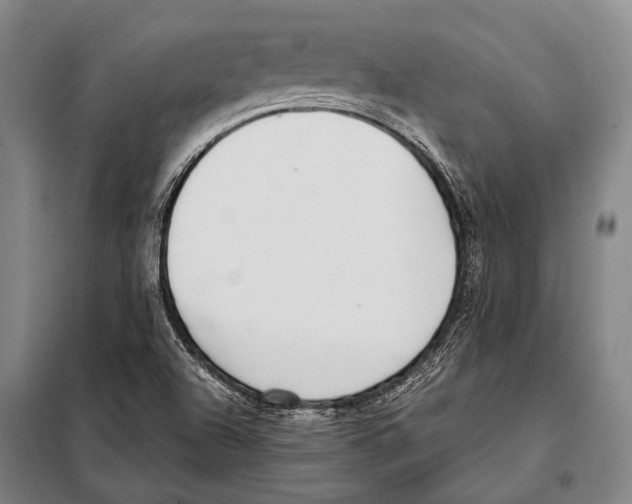 X0000097981504200804211024