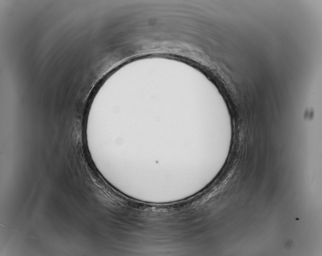 X0000097981505200804211024