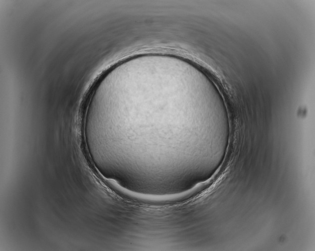 X0000097981506200804211024