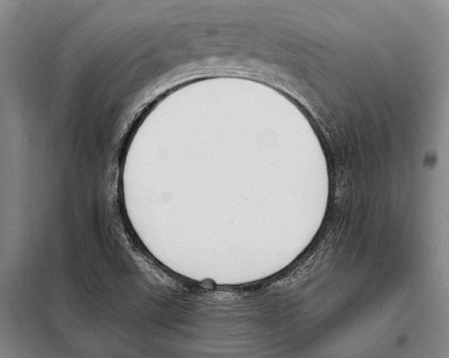 X0000097981507200804211024