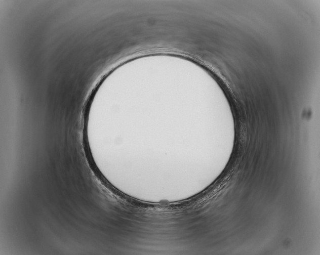 X0000097981508200804211024