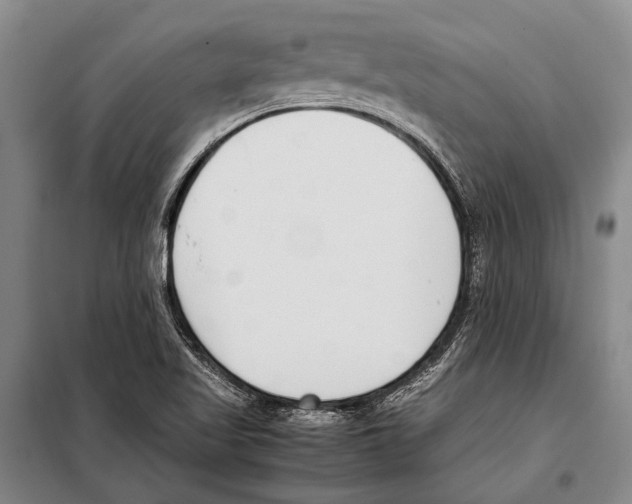 X0000097981509200804211024