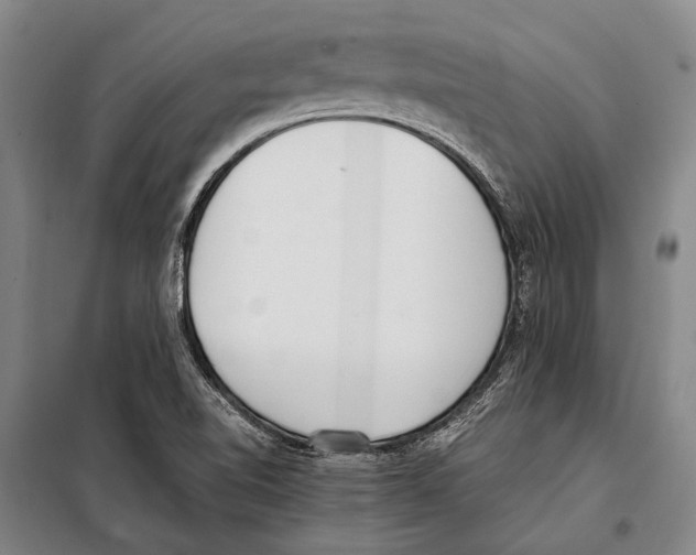 X0000097981510200804211024