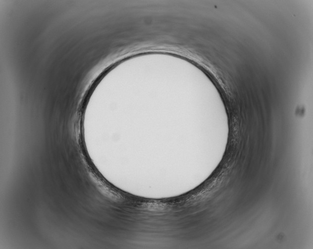 X0000097981511200804211024