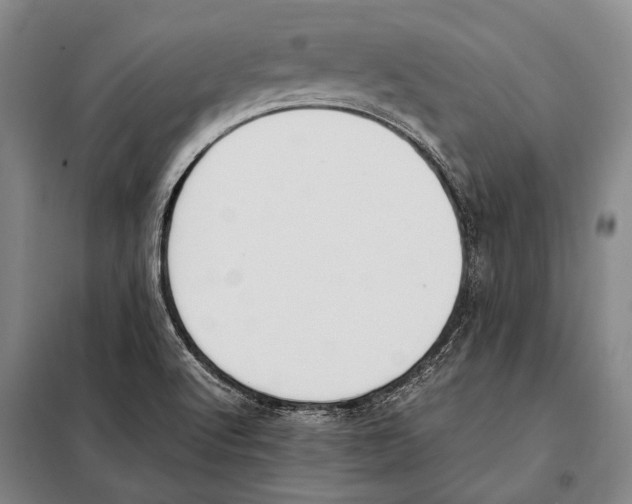 X0000097981512200804211024