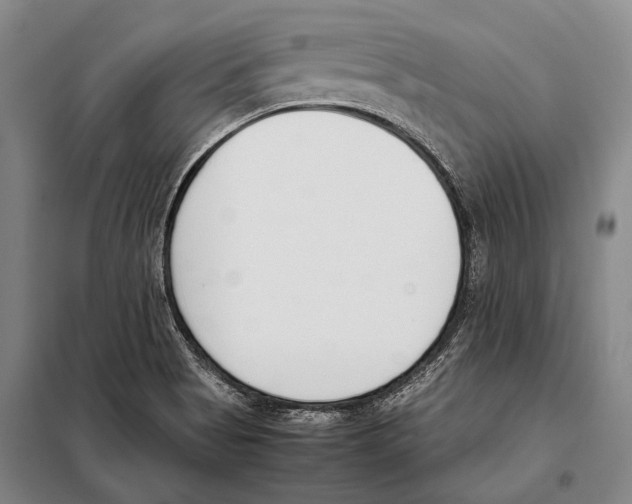 X0000097981513200804211024