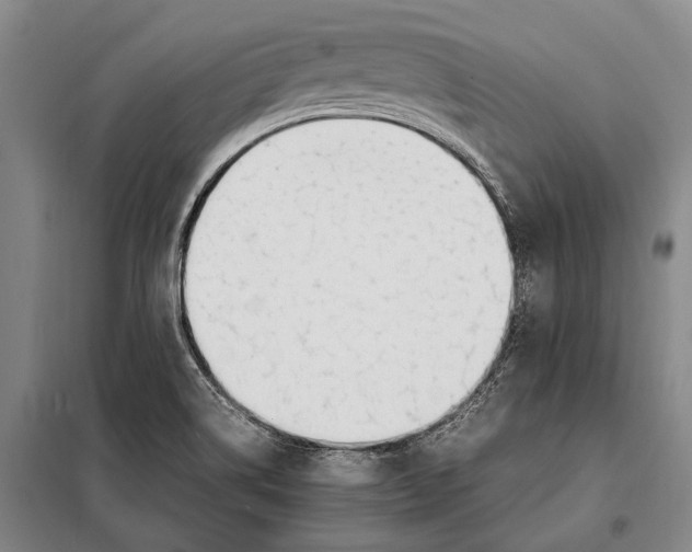 X0000097981514200804211024