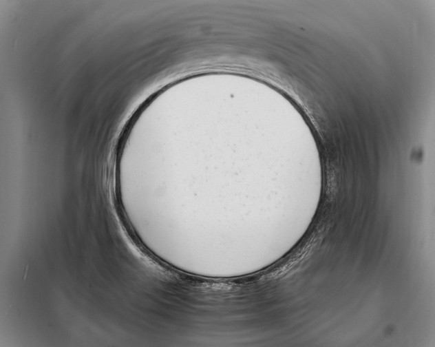 X0000097981515200804211024