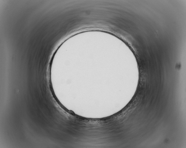 X0000097981516200804211025