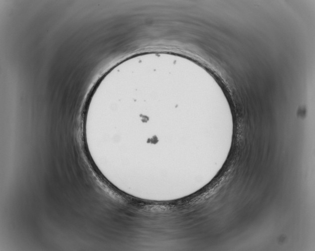 X0000097981517200804211025