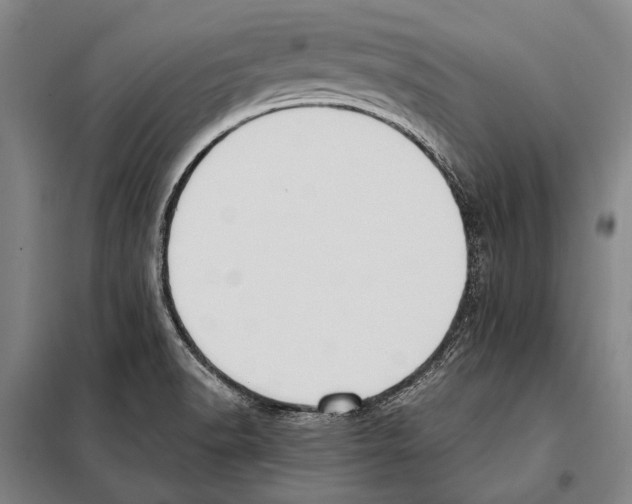 X0000097981518200804211025