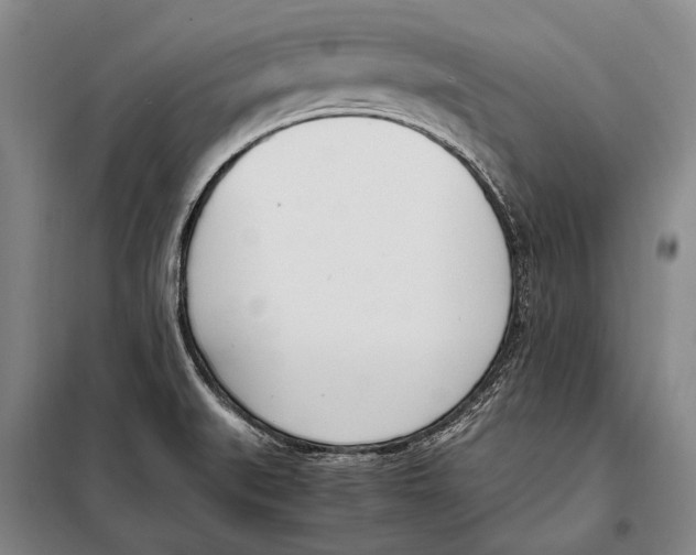 X0000097981519200804211025