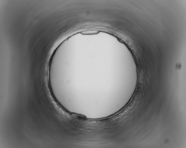 X0000097981520200804211025