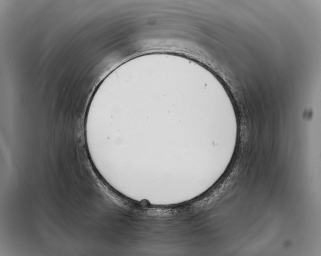 X0000097981521200804211025