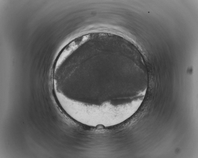 X0000097981522200804211025