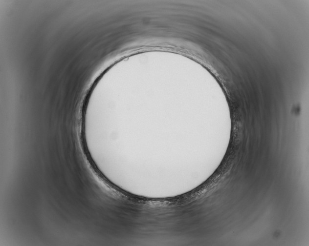 X0000097981523200804211025