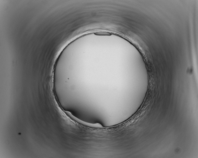 X0000097981524200804211025