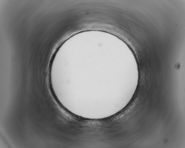 X0000097981525200804211025