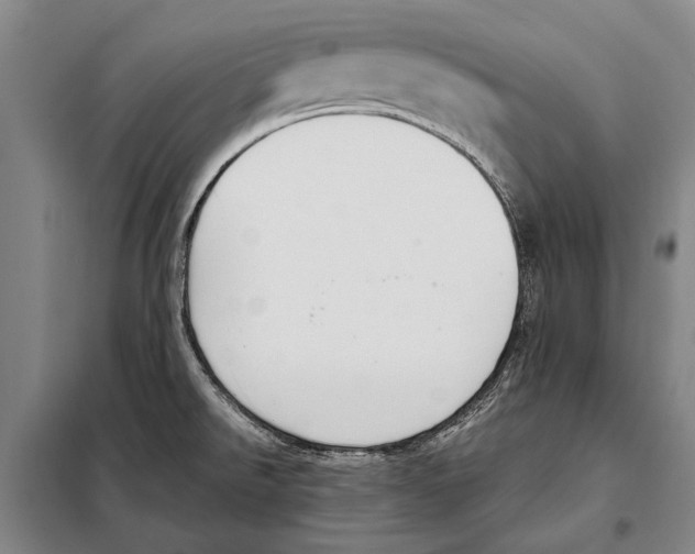 X0000097981526200804211025