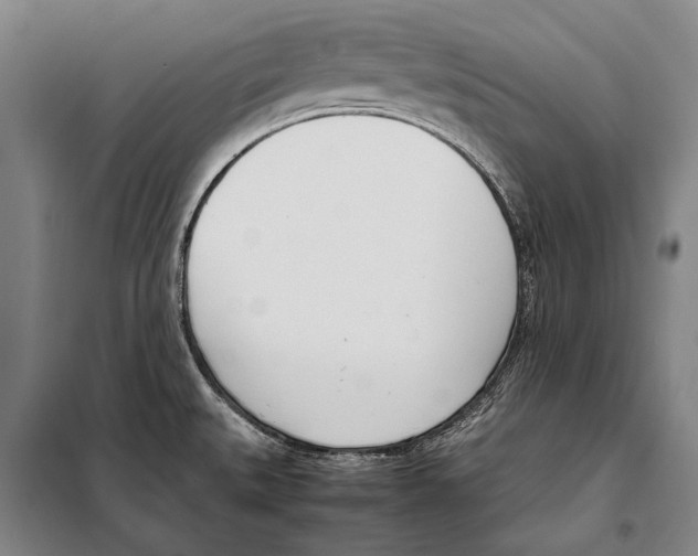 X0000097981527200804211025