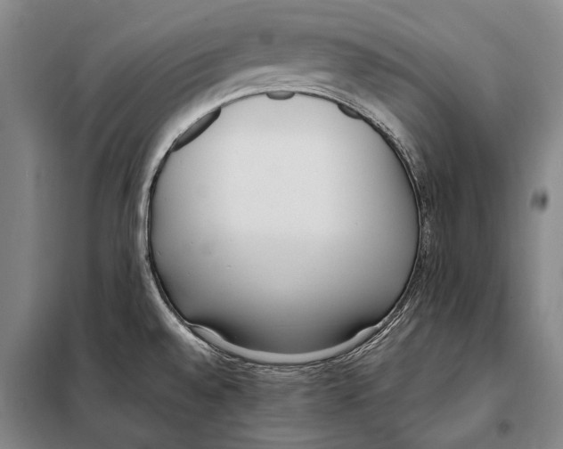 X0000097981528200804211025