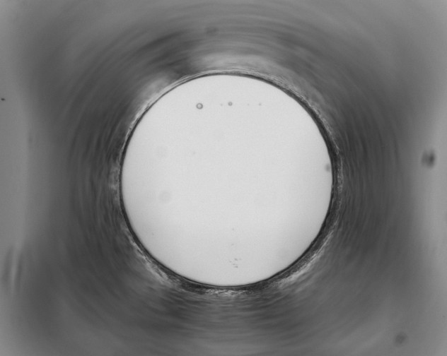 X0000097981529200804211025