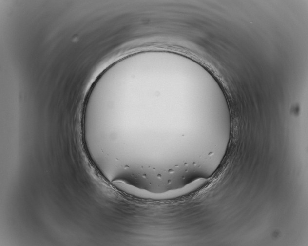 X0000097981530200804211025