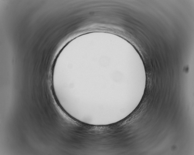 X0000097981531200804211025