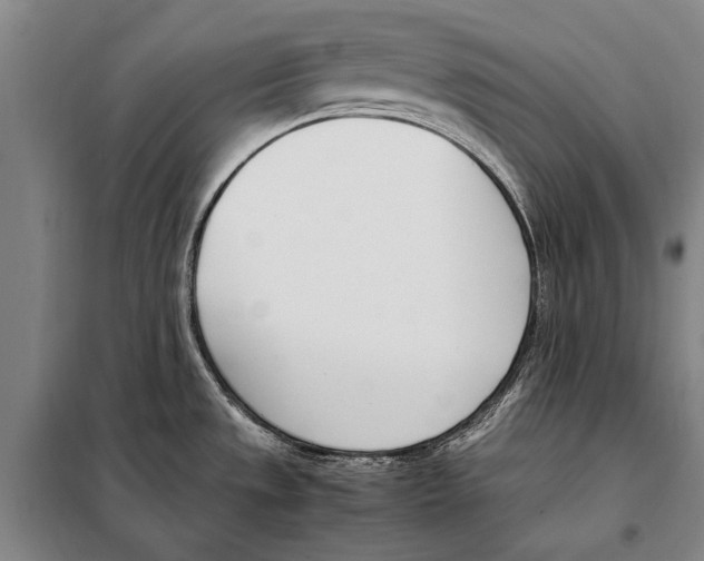 X0000097981533200804211025