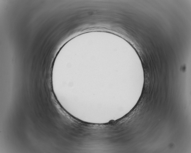 X0000097981534200804211025