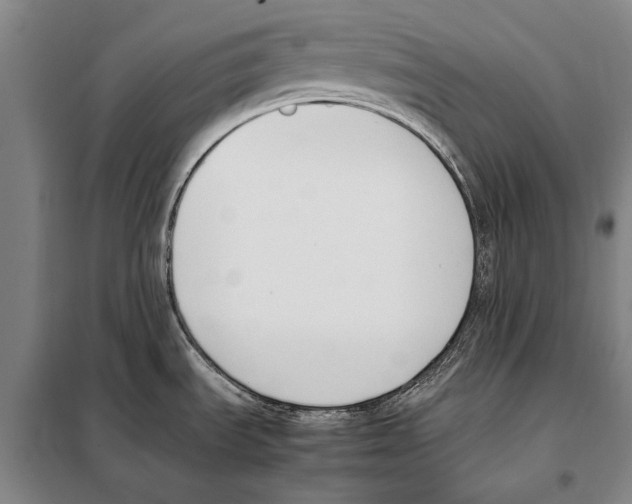 X0000097981535200804211025