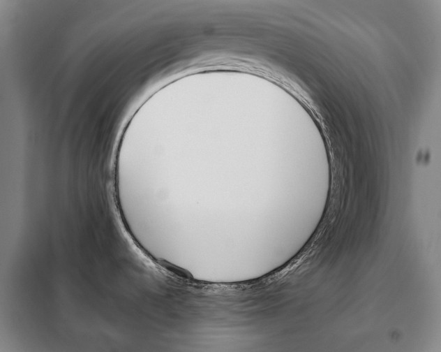 X0000097981536200804211025