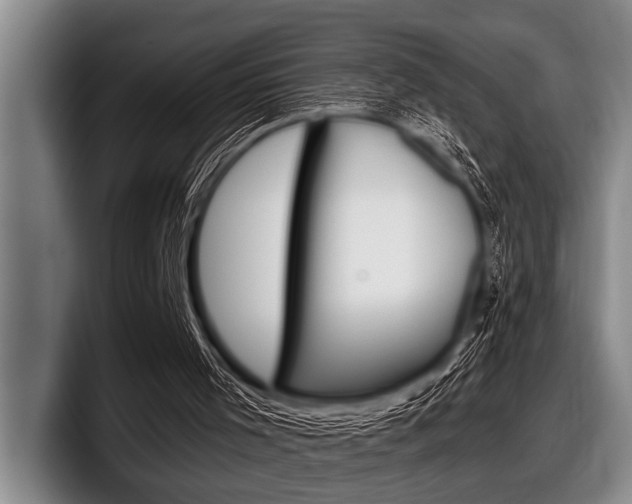 X0000097990001200803241031